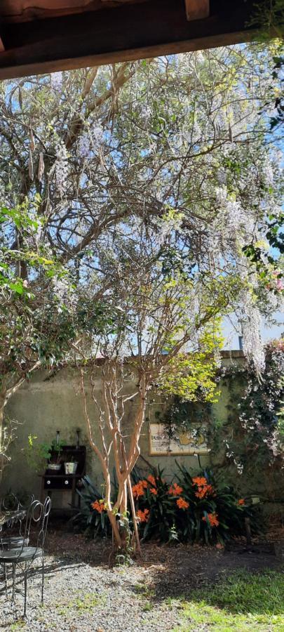 Villa Casa En Barrio Historico à Colonia del Sacramento Extérieur photo